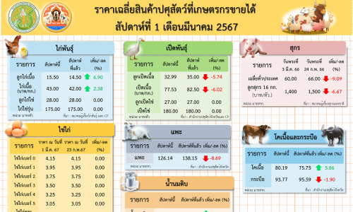 ราคาเฉลี่ยสินค้าปศุสัตว์ที่เกษตรกรขายได้ สัปดาห์ที่ 1 เดือนมีนาคม 2567